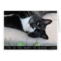 Do Not Be Jaded Motivation Cat Blank Note