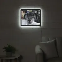 Add your Funny Dog's  Face to this LED Sign