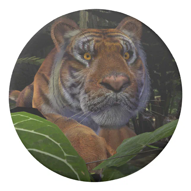 Tiger Crouching in the Jungle Eraser