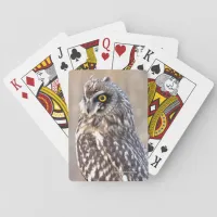 Portrait of a Short-Eared Owl Playing Cards