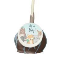 It's a Boy | Woodland Creatures Baby Shower Treats Cake Pops