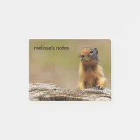 Funny Cute Saucy Columbian Ground Squirrel Post-it Notes