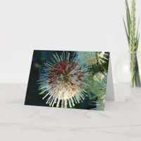 Button Bush Card