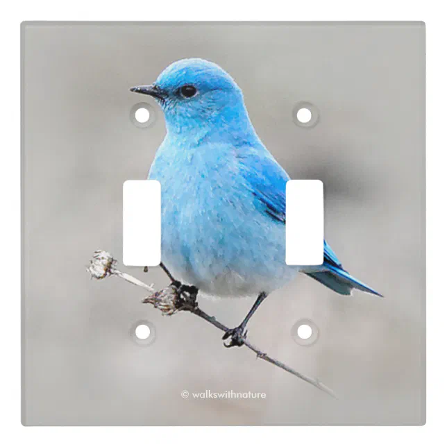 Beautiful Mountain Bluebird Light Switch Cover