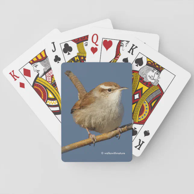 A Curious Bewick's Wren in the Tree Poker Cards