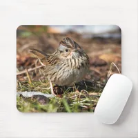 Cute Spunky Lincoln's Sparrow Songbird Mouse Pad