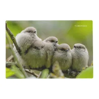 Heartwarming Cute Bushtits Songbirds Family Photo Placemat