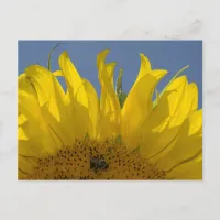 Sunflower with Bee Postcard