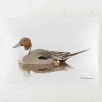 Reflections of a Northern Pintail Duck Trinket Tray