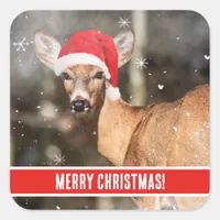 Deer with Christmas Hat in the Snow Whimsical   Square Sticker