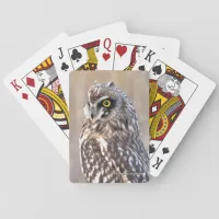 Stunning Portrait of a Short-Eared Owl Playing Cards
