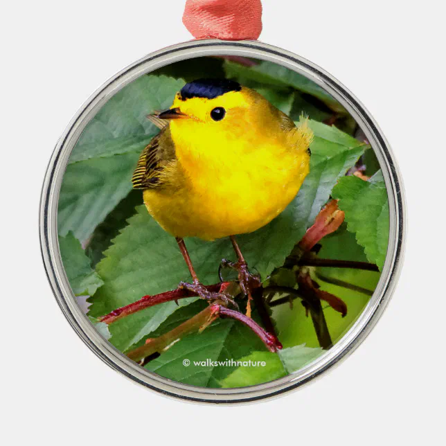 Beautiful Wilson's Warbler in the Cherry Tree Metal Ornament