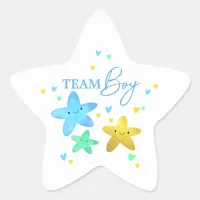 Twinkle Little Star Gender Reveal Team Boy Star Sticker