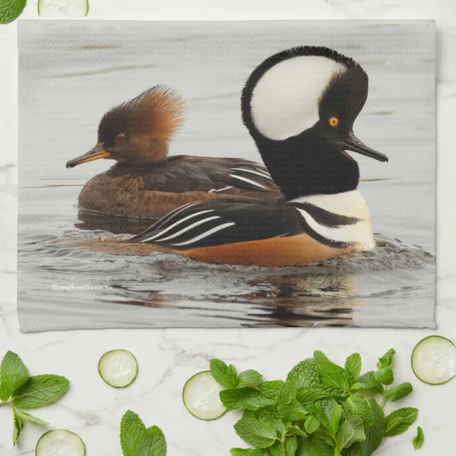 A Meeting of Hooded Merganser Ducks at the Pond Kitchen Towel