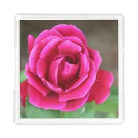 Vibrant Fuchsia Pink Rose Blossom Makro Acrylic Tray