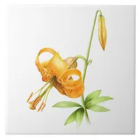 Wild Orange Tiger Lily Floral Botanical Art Ceramic Tile