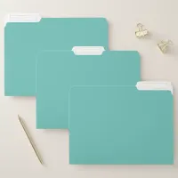 Custom Teal Blue Green Office School Presentation File Folder