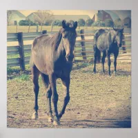 Friendly Horse, Shy Horse Poster