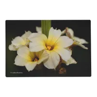 Beautiful Satin Flowers on Black Placemat