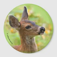 Vignetted Portrait of Smiling Blacktail Deer Fawn  Magnet