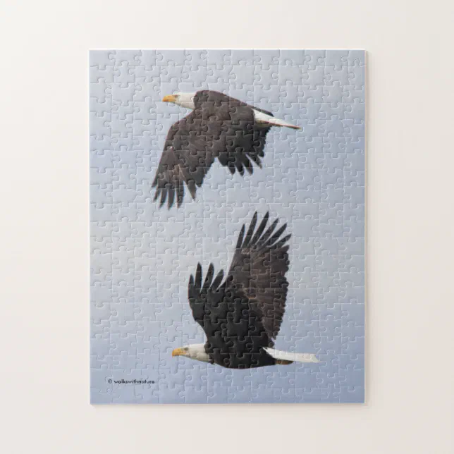 Stunning Bald Eagle Pair in Flight Jigsaw Puzzle
