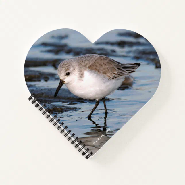 Cute Little Sanderling at the Beach Notebook