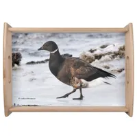 A Goosesteppin' Brant Serving Tray