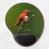 Stunning Rufous Hummingbird on the Cherry Tree Gel Mouse Pad