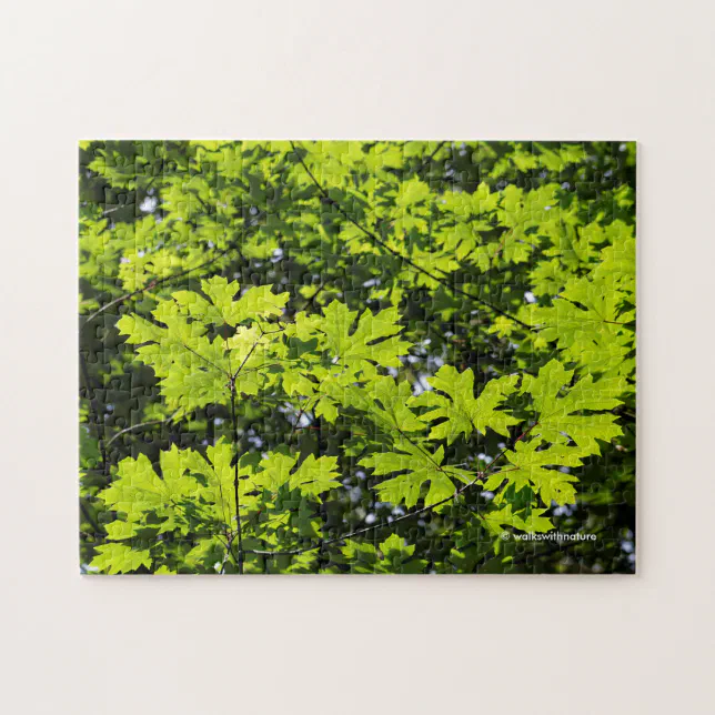 Sun-Dappled Leaves in the Forest Jigsaw Puzzle