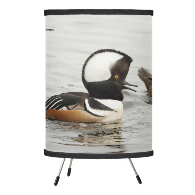 A Meeting of Hooded Mergansers Tripod Lamp