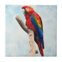 Macaw Beauty Ceramic Tile