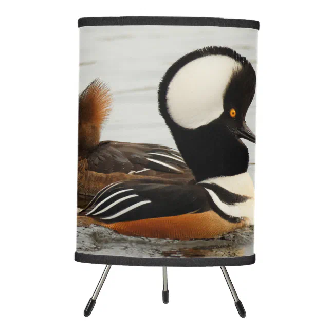 A Meeting of Hooded Mergansers Tripod Lamp