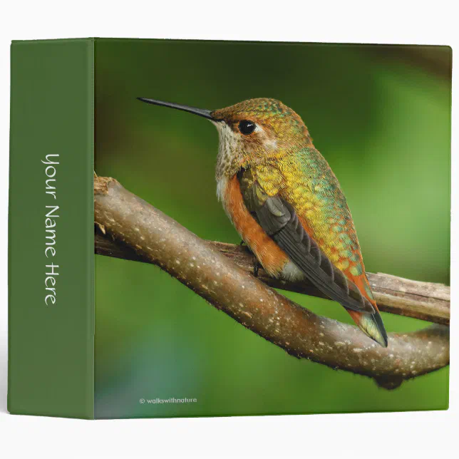 Stunning Rufous Hummingbird on Twining Vines Binder