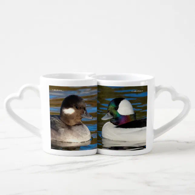 Bufflehead Duck Lovebirds on the Lake Coffee Mug Set