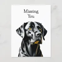 Black Lab Dog Lovers | Missing You Postcard