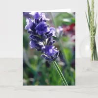 Purple Flower Spike Card