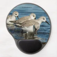 Funny Cute 4 Sanderlings Sandpipers at the Beach Gel Mouse Pad