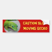 Gold Dust Day Gecko – Audition and Get Some Gecko Bumper Sticker