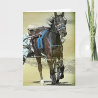 Standardbred Race Horse Card