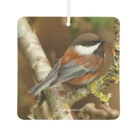 Cute Chestnut-Backed Chickadee on the Pear Tree Air Freshener