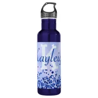 ... Stainless Steel Water Bottle