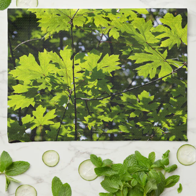 Sun-Dappled Leaves in the Forest Kitchen Towel