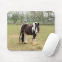 Piebald horse in the pasture mouse pad