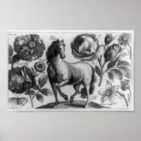 Horse and Roses Poster