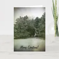 Merry Christmas Pine Trees in the Park Holiday Card