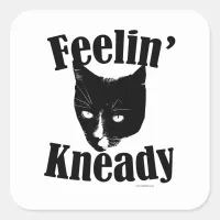 Feelin Kneady Funny Cat Cute Photo Slogan Square Sticker