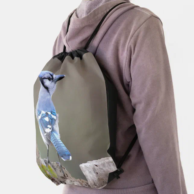 Cute Blue Jay Songbird on Treestump Drawstring Bag