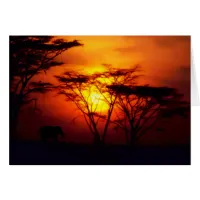 African Sunset Card