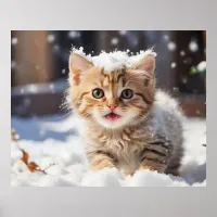 *~* Eating Snow Kitty 5:4  Kitten Cat AP68 Poster