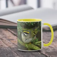 Cute Little Kinglet Causes a Stir in the Fir Mug